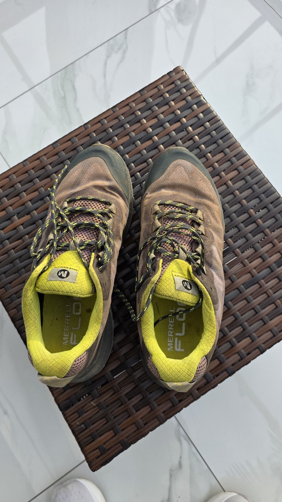 Scarpe da passeggio Merrell donna 8 UK 42 MOAB SPEED GTX Gore Tex Iris