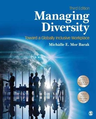 Managing Diversity: Toward a - Paperback, by Mor Barak Michalle - Very Good