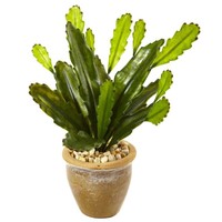 Nearly Natural Cactus With Glazed Clay Pot In Green on sale Nearly Natural Cactus With Glazed Clay Pot In Green on sale