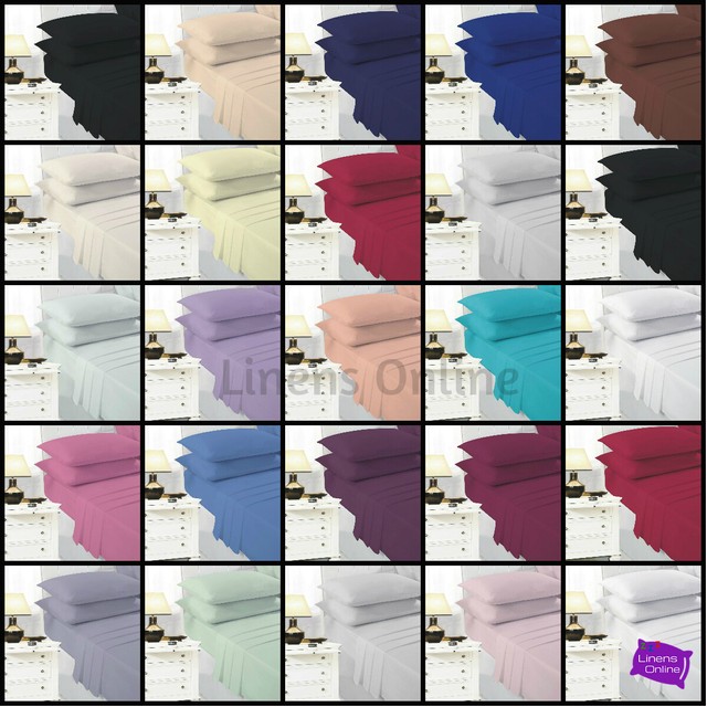 blue zoo dinosaur bedding