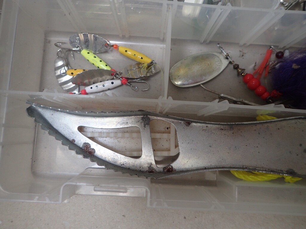 Picture 5 of 23
