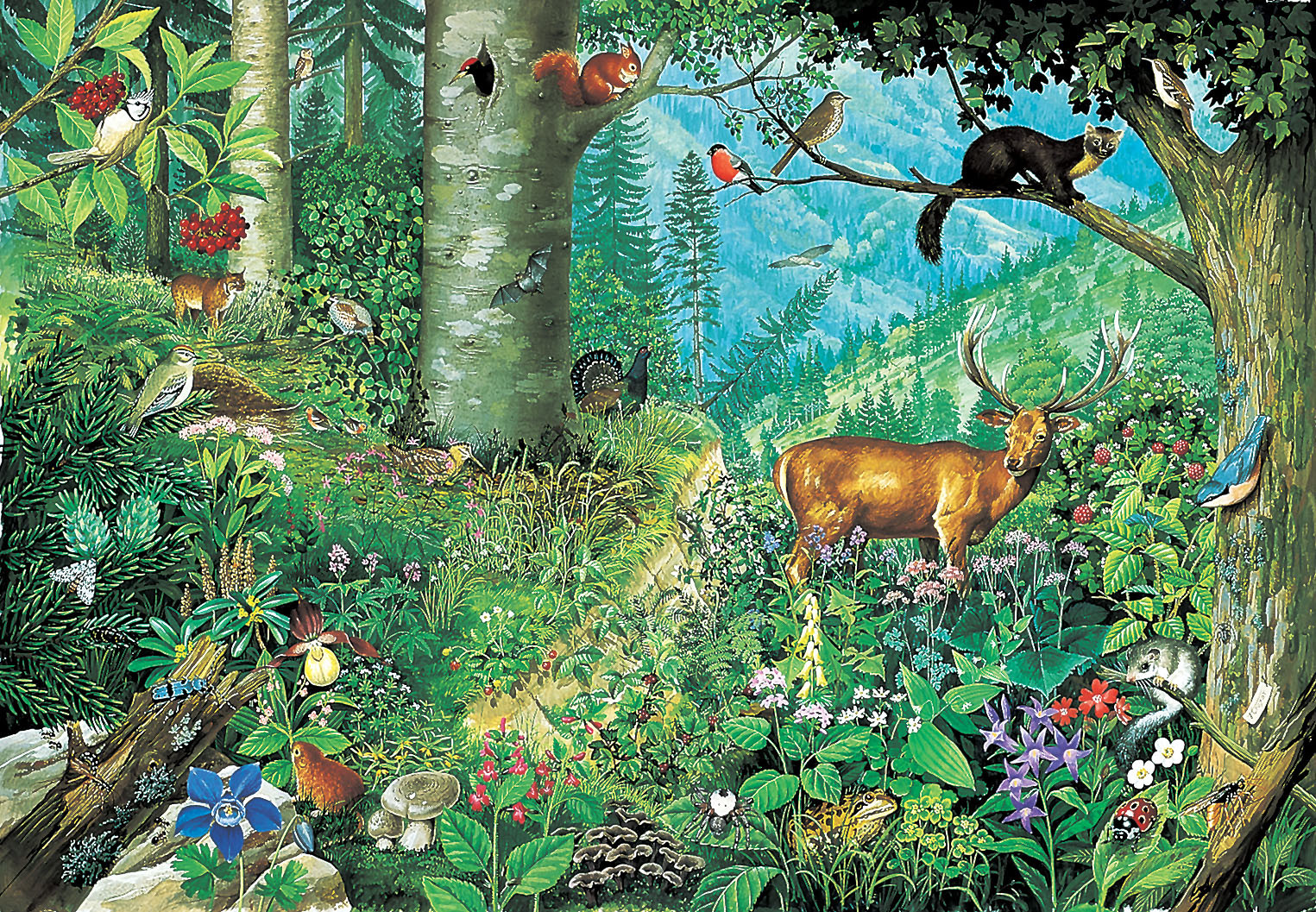 Mountain Forest 1000 Piece Jigsaw Puzzle