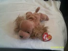 Vtg. Ty Beanie Baby-Spunky the Cocker Spaniel-org tags-DOB 1/14/1997-bent SHT
