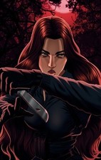 The Order: Kingdom of Fallen Ash by Katerina St Clair [Hardback]