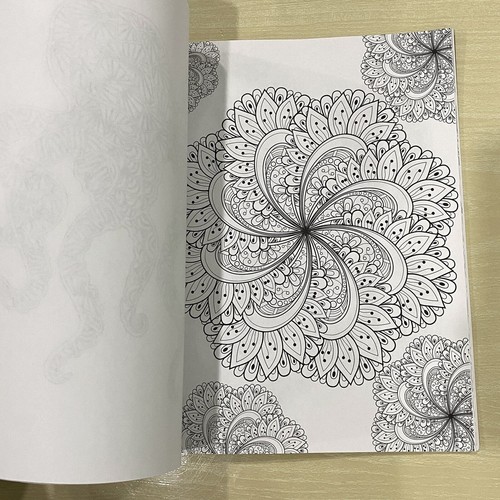 Peaceful Adult Coloring Book - Picture 10 of 10