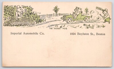 Boston MA Imperial Automobile Co Pigs Driving Car Hedge Hog c1905 Postcard