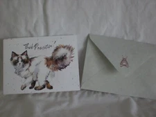 Hopper Studios - Birthday - A Lovely Cat on cover