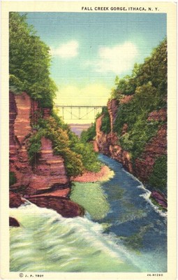 Fall Creek Gorge Ithaca NY Linen Postcard Bridge River Curt Teich Colortone