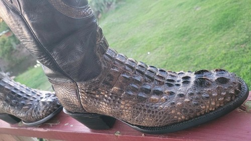 BLACK JACK NATURAL ALLIGATOR... 10 D