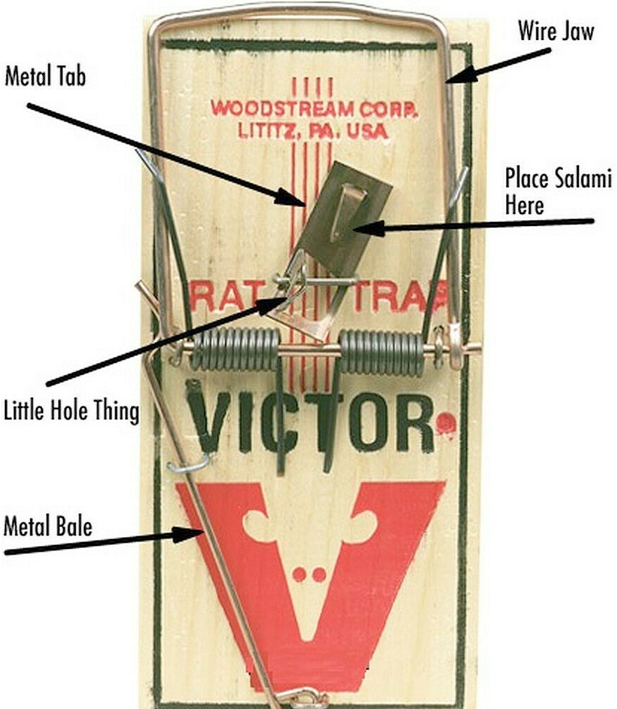 [廃盤] Brown rat　デモ CDセット LARGE Wood RAT TRAP 7