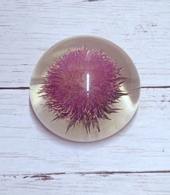 Tarax Infinity Products Domed Thistle Paperweight 3  Handcrafted in Canada