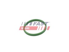 Dichtring Ladeluftschlauch FAST FT49855 für MERCEDES CITAN Großraumlimousine 112