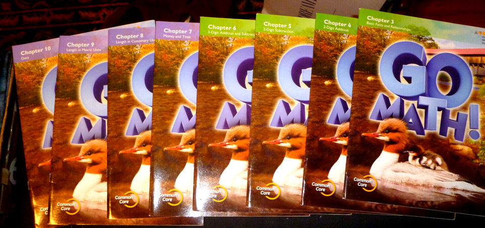 GO MATH! Common Core Workbooks Grade 2 (3-4-5-6-7-8-9-10) Very good ...