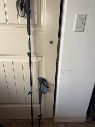 black diamond trekking poles carbon
