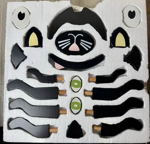 Pottery Barn Kids PUMPKIN DECORATING KIT 11 pc Spider, 5 pc Cat, 4pc Pumpkin