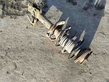 NISSAN ALMERA II N16 Stoßdämpfer vorne rechts 1.50 Petrol 2002 32504876