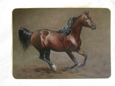 HORSE SWAP CARD~LINEN NEW~ARABIAN HORSE AT FULL GALLOP ART WORK#32