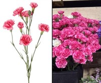 Nelken Kunstblume Dianthus 63Cm Mit Rosafarbigen 7 BlüTen Von Ibizanos.Com