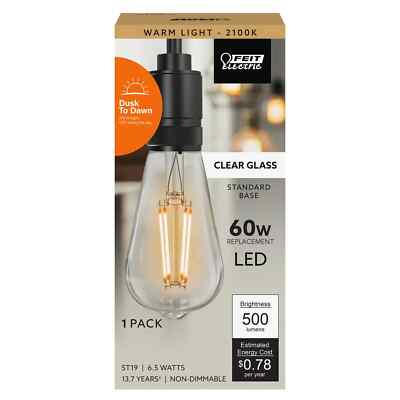 Feit Electric 60-Watt ST19 Dusk to Dawn Clear Glass E26 LED Light Bulb (Lot of 2