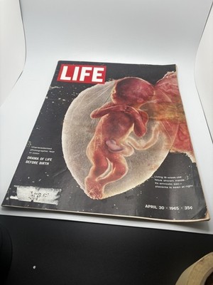 Life Magazine April 30, 1965 Drama of Life before Birth