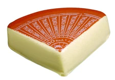 Fontina Fontal cheese 1/4 Wheel - 5.5 pounds