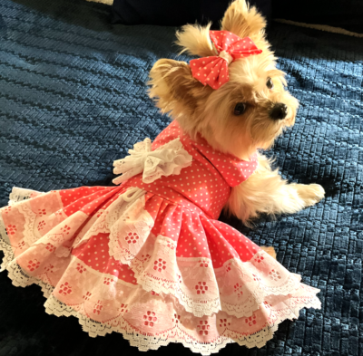 DOG HARNESS DRESS PINK WITH LACE / MATCHING HAIR BOW FREE SHIPPING | eBay