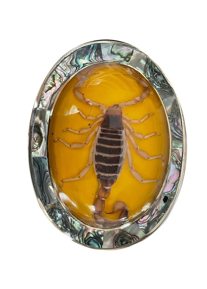 Hecho México Escorpión Real Vintage Western Hebilla Cinturón RODEO HOMBRES METAL AMARILLO - Imagen 3 de 4