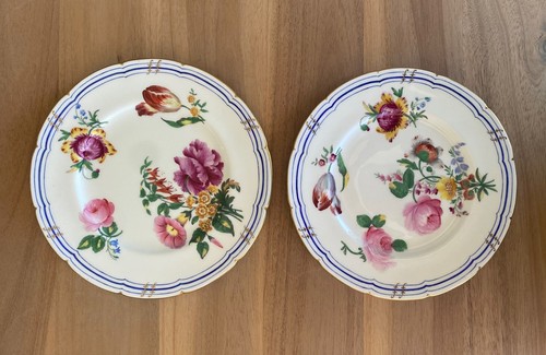 Leighton Sprays - COALPORT - Mittagessen Teller 8 3/4" - Goldrand Floral 2er Set