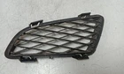 Front bumper lower grill