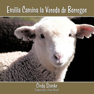 Cindy Shanks | Emilia Camina la Vereda de Borregos | Taschenbuch | Spanisch