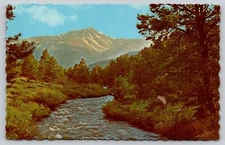 Mt Elbert  Arkansas River  Colorado  Mountains river UNP  Postcard (s14)