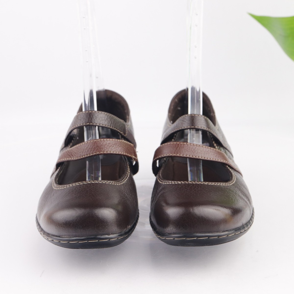 Buy Skechers Zapatos Skechers De Mujer 2018 Largos Zapatos