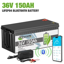 36V 150Ah LiFePO4 Battery Bluetooth 200A BMS 5.76kWH for Golf Cart Solar Marine