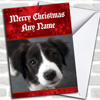Border Collie Puppy Dog Christmas Customised Card | eBay UK