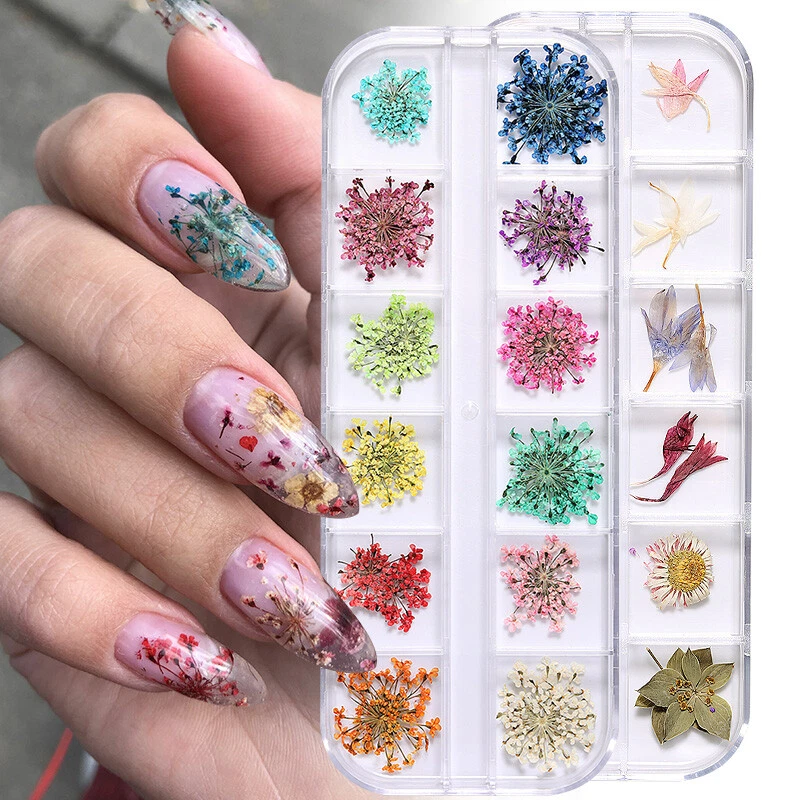 12-Style Dried Flower Nail Art Decoration Natural Floral Daisy Manicure  Decals