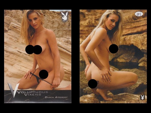 Playboy Trading Cards - Voluptuous Vixens (01) - Bild 5 von 28