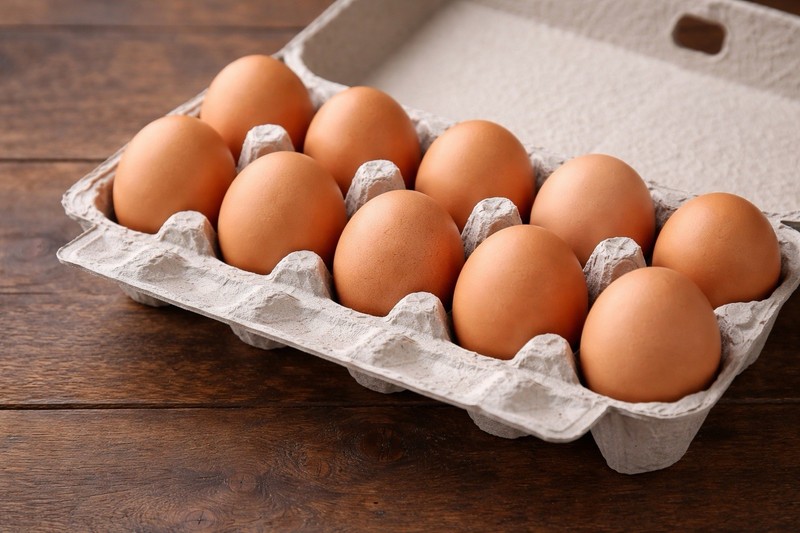 10 (ten) Tan Hatching Eggs From My Best Egg Layers!