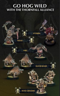 Warmachine MKIV Thornfall Alliance Command Cadre Print Service