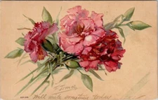 Pink Carnation Floral Bouquet Vintage Postcard Spc15