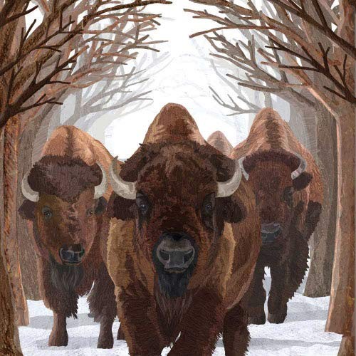 Салфетка для напитков Paperproducts Design Buffalo Passage 5 x 5 многоцветная 2190₽