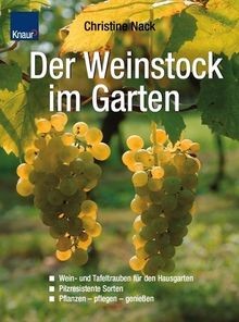 Der Weinstock im Garten von Nack, Christine | Buch | Zustand sehr gut