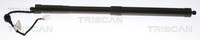 Heckklappen DäMpfer Gasfeder Kofferraum Triscan 8710 13301 FüR Toyota RAV 5 VAN