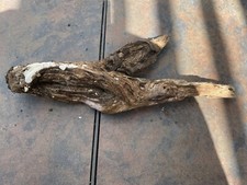 Natural Driftwood for Plants Terrarium Taxidermy Art Projects