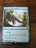 Branchloft Pathway Zendikar Rising Regular