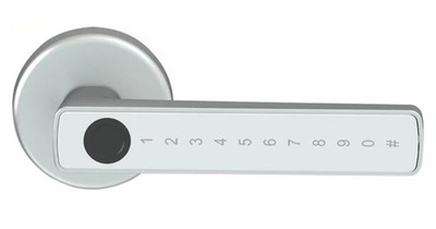 Tuya Smart Fingerprint Lock Financial level Electronic Indoor Lock Password/Key