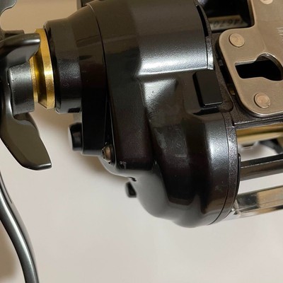 Daiwa Seaborg 500JP 9.7km 13h #PC0B91 | eBay