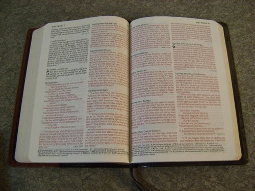 Premium Slimline Reference Bible NLT, Large Print, TuTone VERY NICE COND. - Imagen 19 de 23