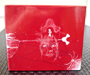 Bjork Box Set | eBay