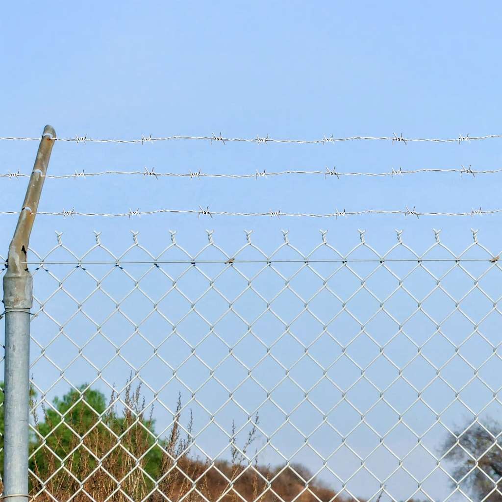 Filo spinato galvanizzato per recinzioni metalliche, recinti 2404728