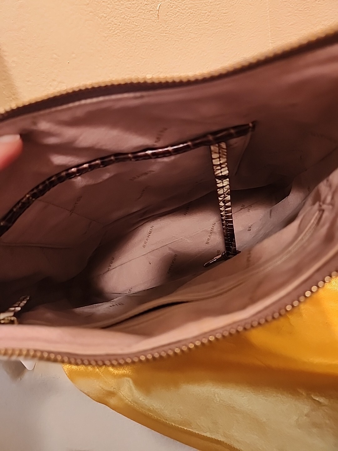 Brahmin Katie - image 6